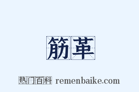 筋革是什么意思的图片